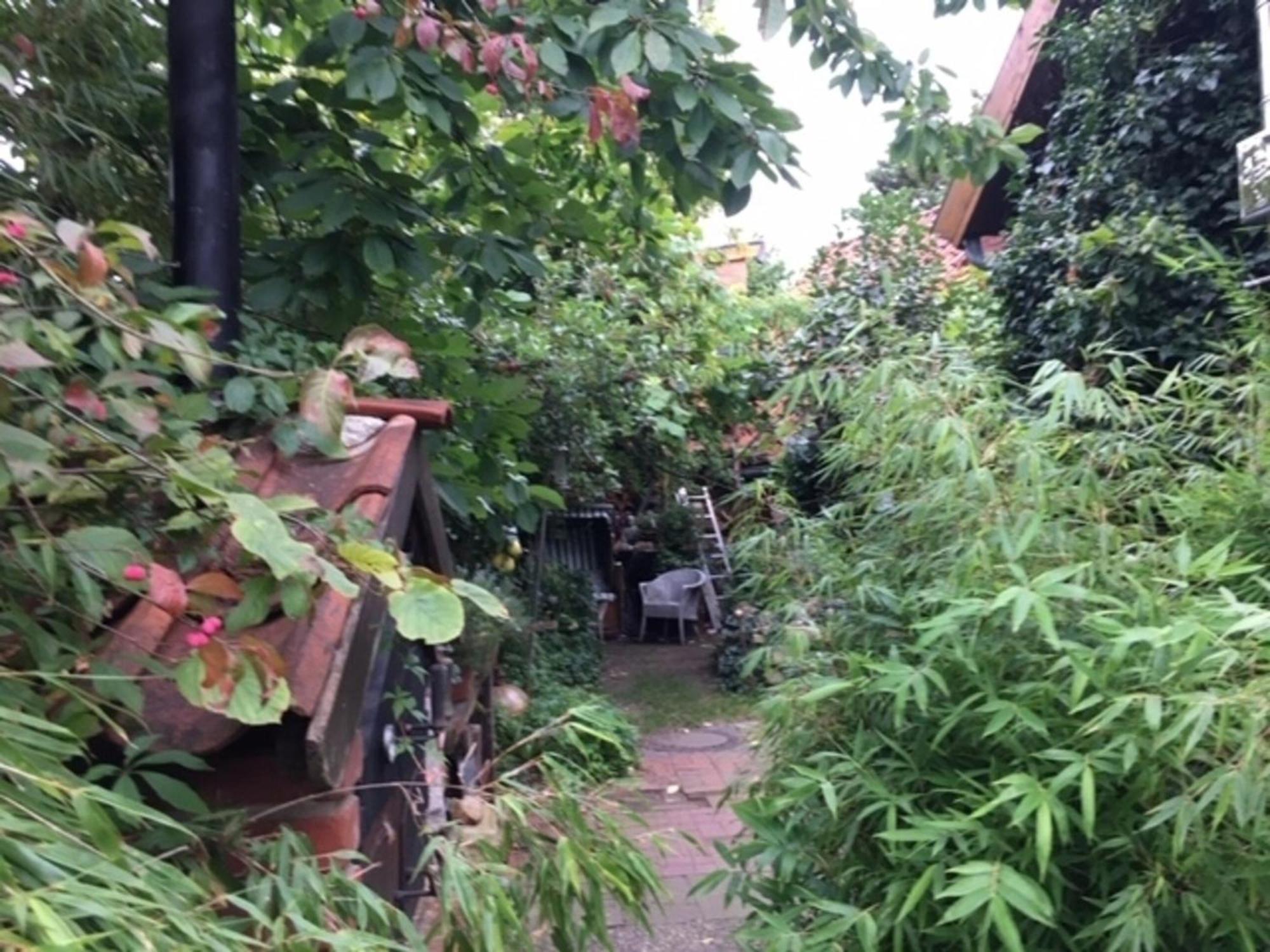 Grosse Hobbithoehle Mit Gemeinschaftsgarten Neustadt am Rübenberge Eksteriør billede